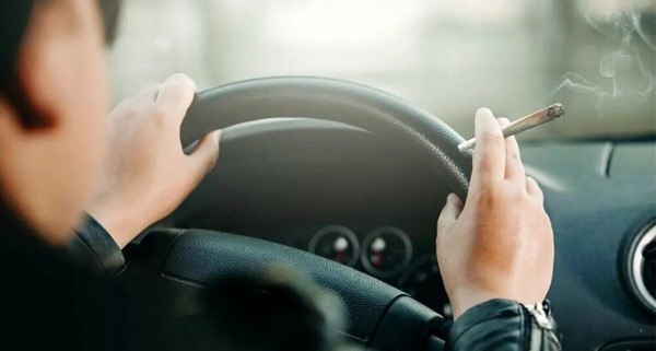 عکس میمون سیگار کش