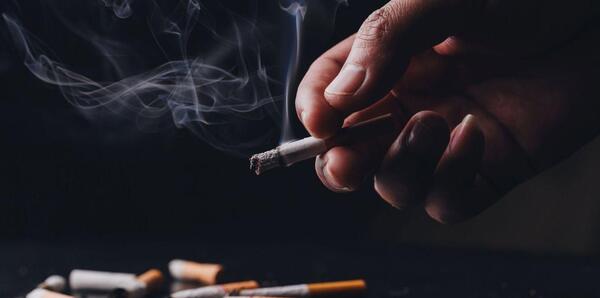 عکس میمون سیگار کش