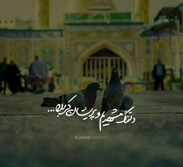 عکس نوشته دلتنگ کربلام
