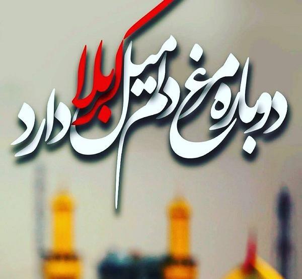 عکس نوشته دلتنگ کربلام