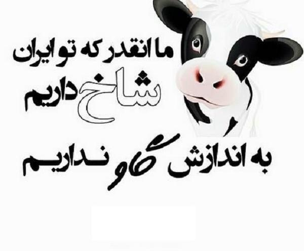 عکس نوشته برای پروفایل شاخ