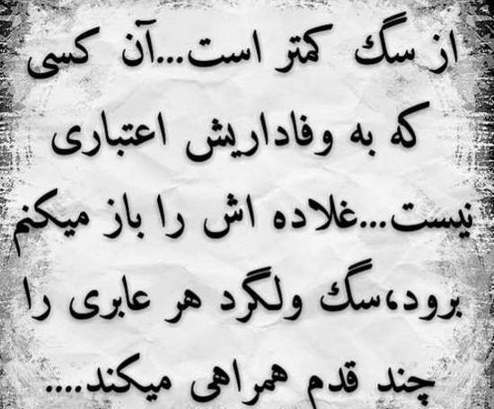 عکس نوشته خیانت زن شوهردار