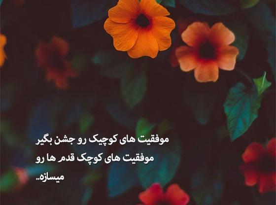 عکس پروفایل شاد موفقیت