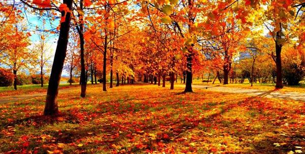 عکس نوشته آخر پاییز است