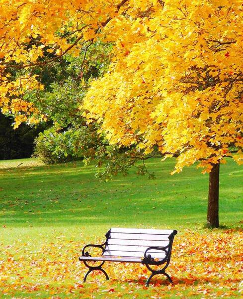 عکس نوشته آخر پاییز است