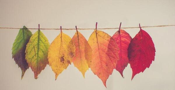عکس نوشته انگلیسی پاییزی