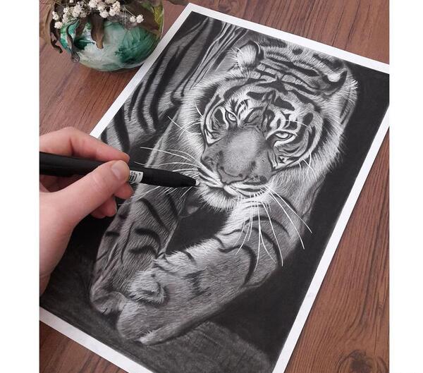 عکس نقاشی صورت ببر