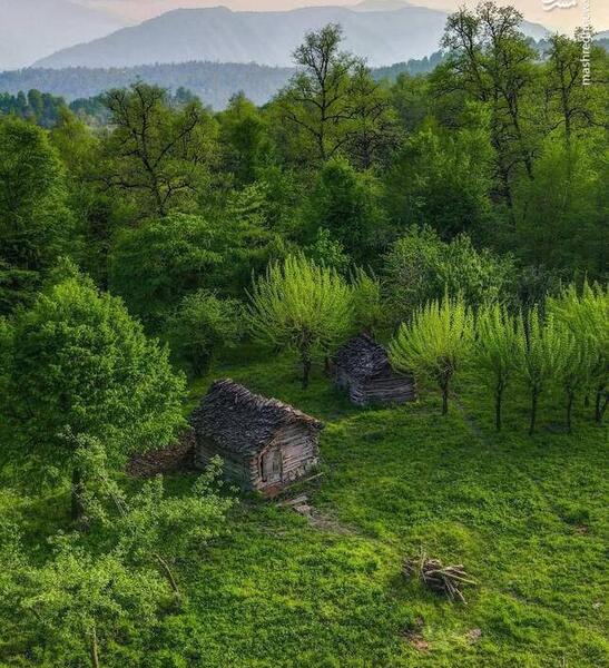 عکس طبیعت رویایی دخترانه