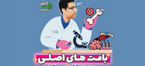 عکس بافت پیوندی متراکم