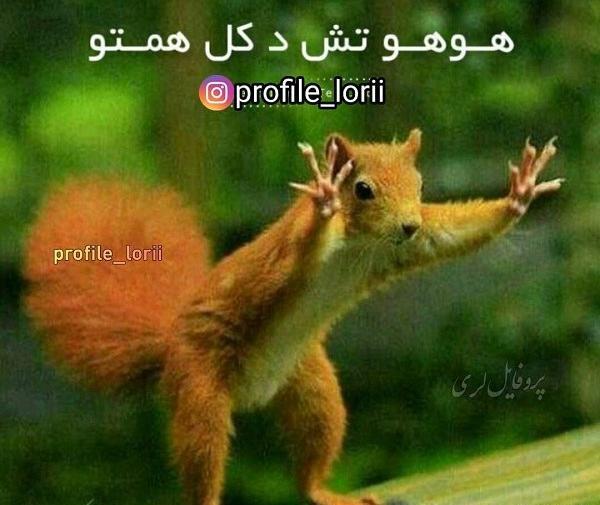عکس نوشته عاشقانه لری جدید