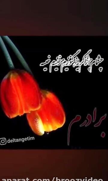 عکس فوت داداش