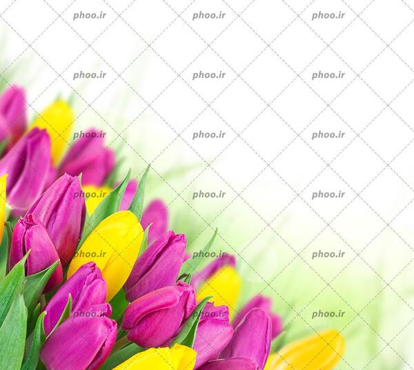 عکس پس زمینه برای نوشتن متن