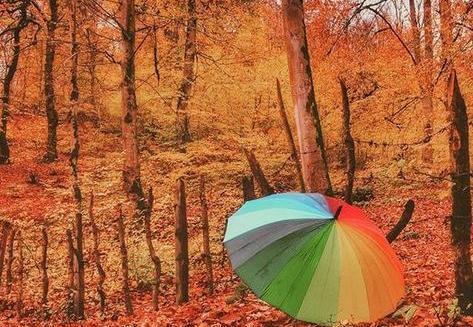 عکس پروفایل از طبیعت پاییز