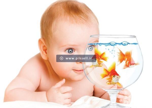 عکس نوزاد ماهی