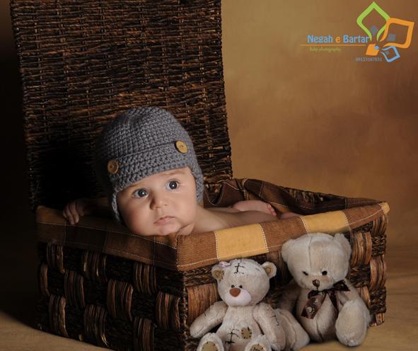 عکس نوزاد ماهی