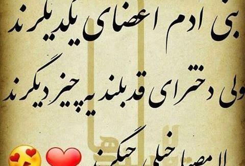 عکس نوشته قد کوتاه ها