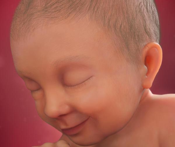 عکس جنین پسر سی هفته