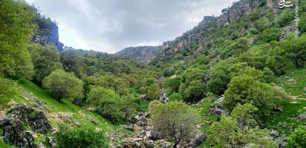 عکس بهار سنندج