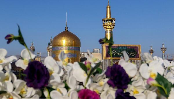 عکس حرم امام رضا و کبوتر