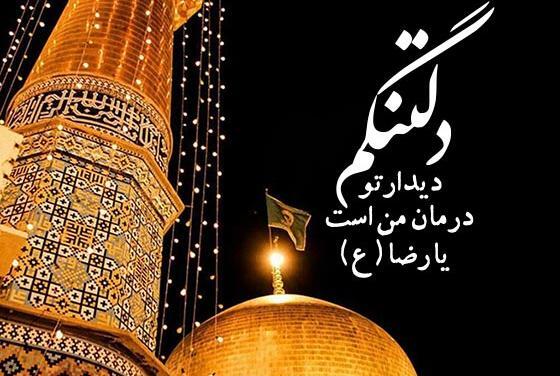 عکس حرم امام رضا و کبوتر