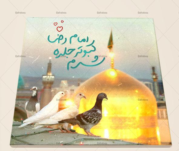 عکس حرم امام رضا و کبوتر