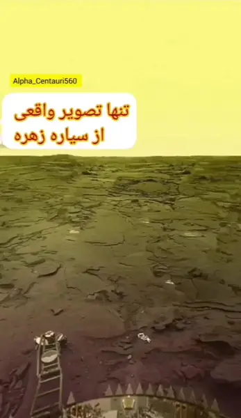 عکس زهره قوی بال