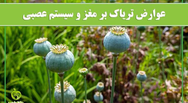 عکس تریاک در خانه