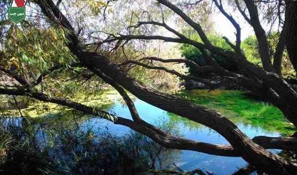 عکس شاه غیب کوار