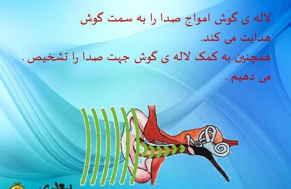 عکس ساختمان گوش علوم پنجم