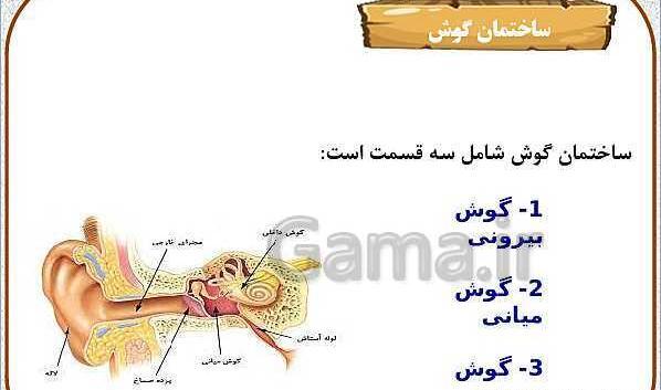 عکس ساختمان گوش علوم پنجم
