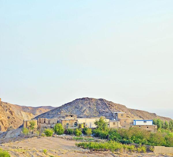عکس لپه زنک