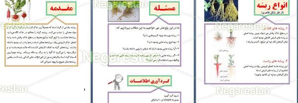 عکس وسایل جابربن حیان
