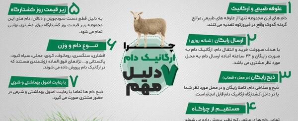 عکس فیلم آموزش ذبح گوسفندان اپارات
