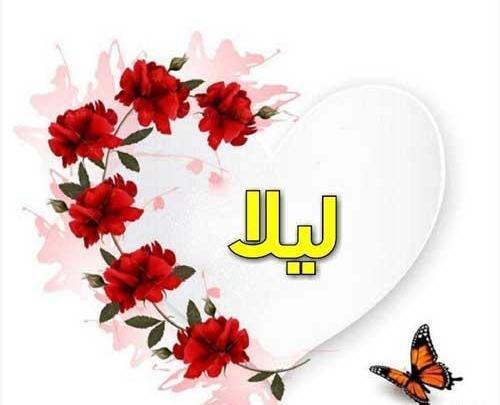 عکس نوشته اسم لیلا ب انگلیسی