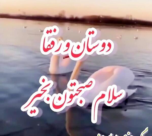 عکس نوشته سلام صبح بخیر برای گروه