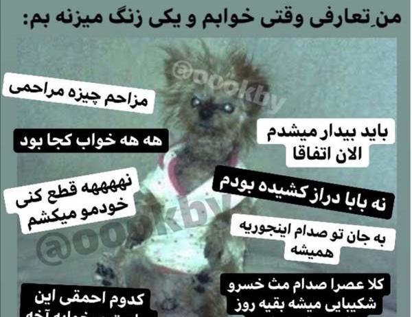عکس نوشته خنده دار نی نی سایت