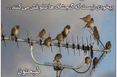 دانلود عکس نوشته صبح بخیر خنده دار