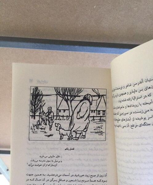 عکس امیرمحمد قربانی
