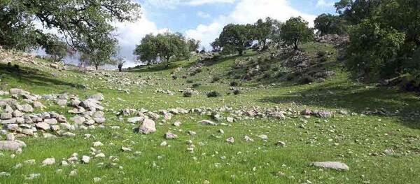 عکس سیزده بدر ۱۴۰۰