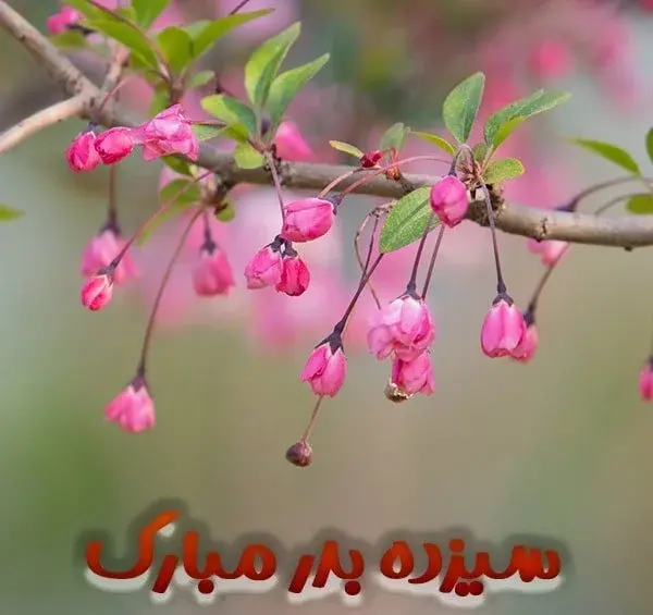 عکس سیزده بدر ۱۴۰۰