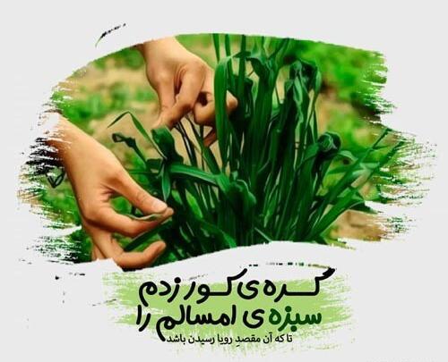 عکس سیزده بدر ۱۴۰۰