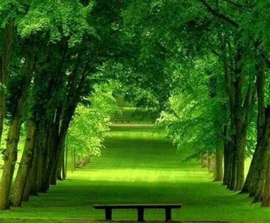 عکس منظره زیبا برای واتساپ