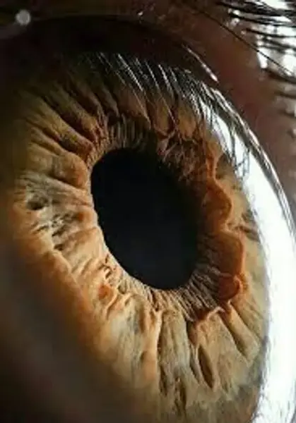 عکس چشم از نزدیک