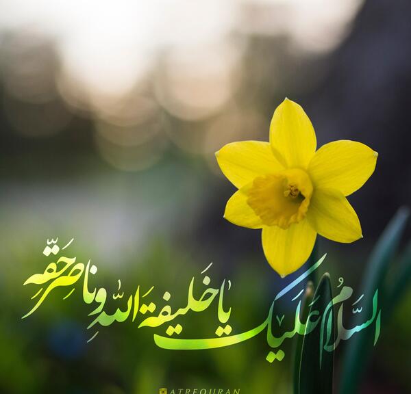 عکس نوشته درمورد یاسین