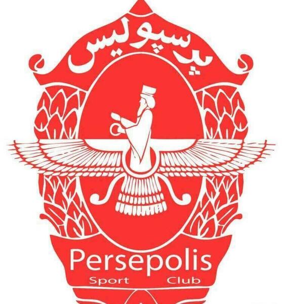 عکس گاو پرسپولیس