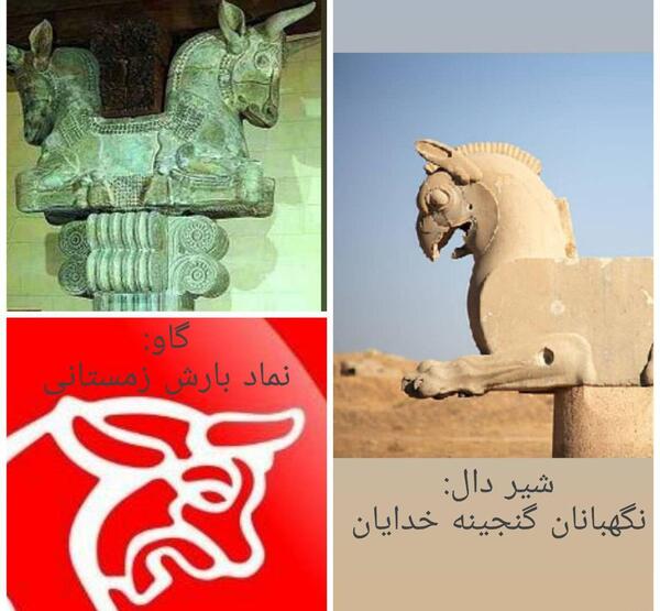 عکس گاو پرسپولیس