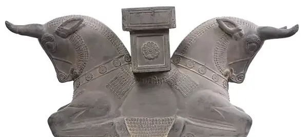 عکس گاو پرسپولیس