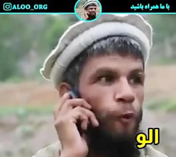 عکس گاو پرسپولیس