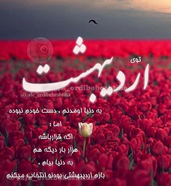 عکس تولد دختر اردیبهشتی