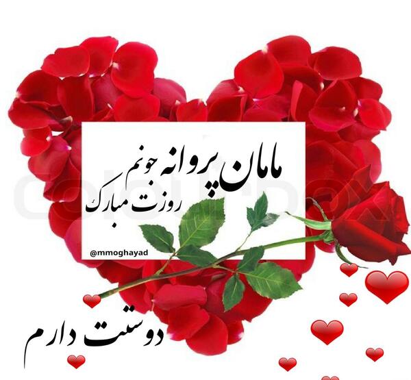 عکس نوشته مامان پروانه